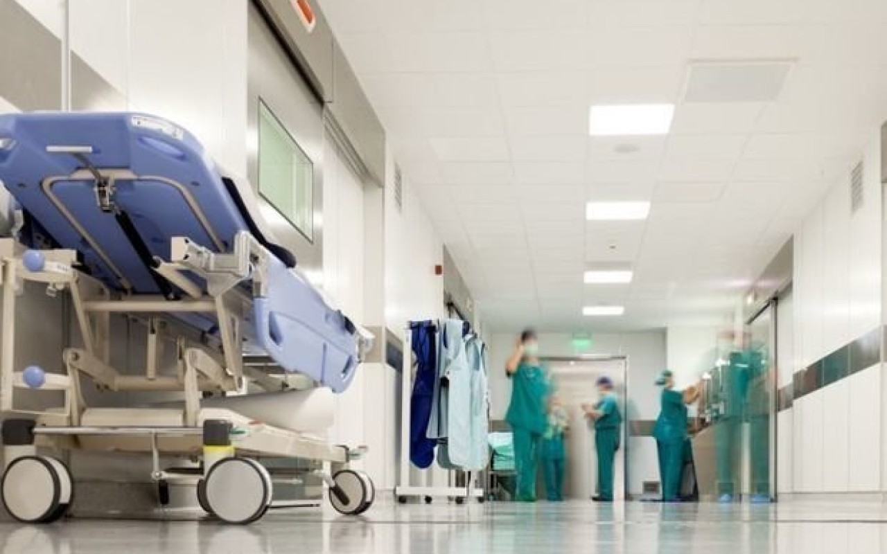 1749574564.1725015636_xestexana-