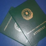 1750152002.pgZiRK3CCGU1Q8zJvoB2yr1kV7f3uDeowVLKiyLp_1200