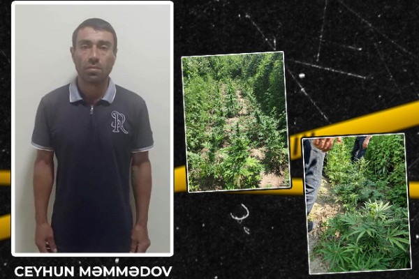 1750488710_b2c45f83-fb3d-4335-8d3d-de030dd89fc2