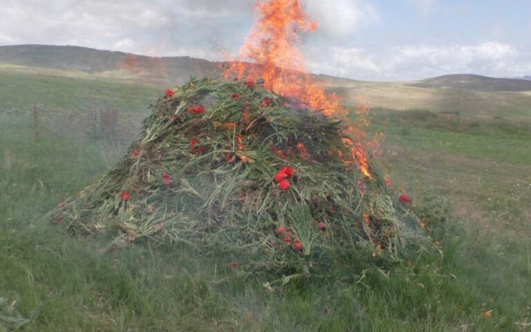 1751003913.17510029065625036523_1200x630