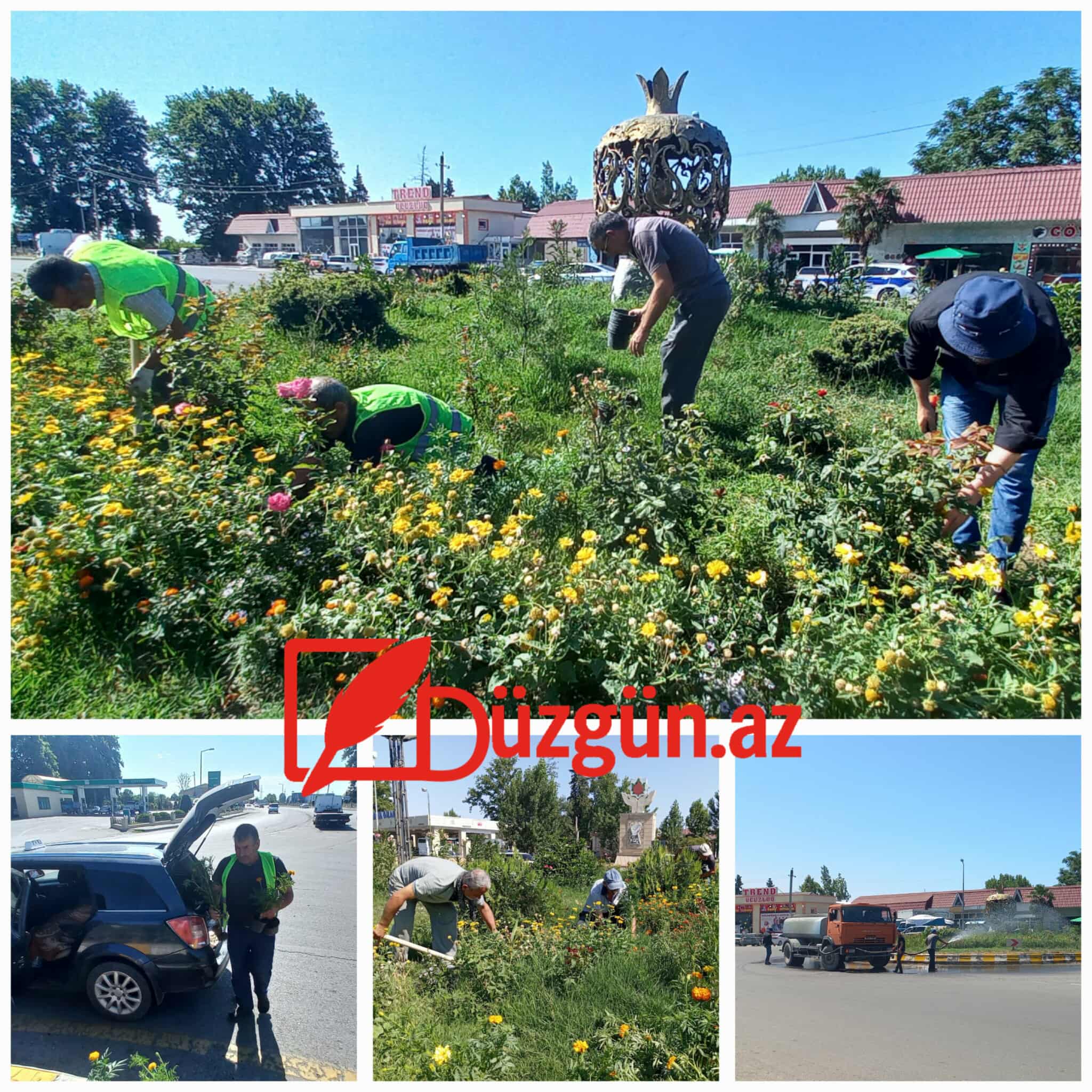 505475813_1642411083211889_3372665061436511585_n