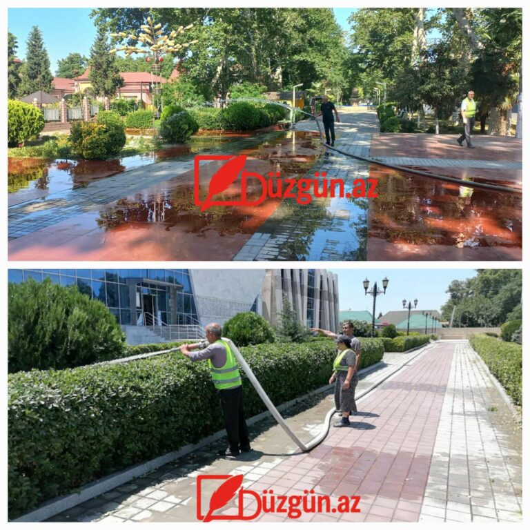 506760875_1349950202741746_6418374271220823622_n