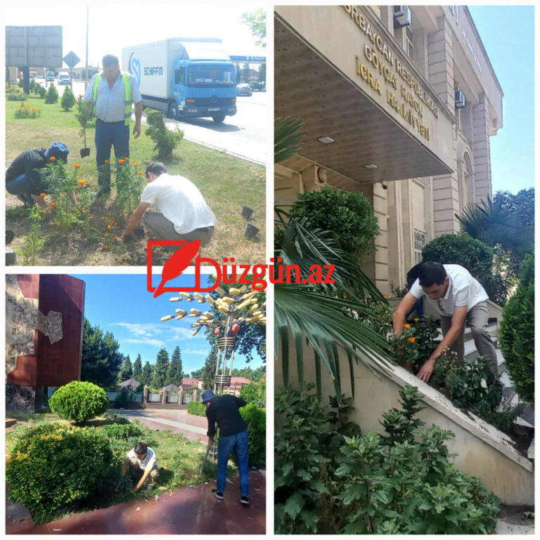 508628266_1131012992182485_8090785694110412107_n