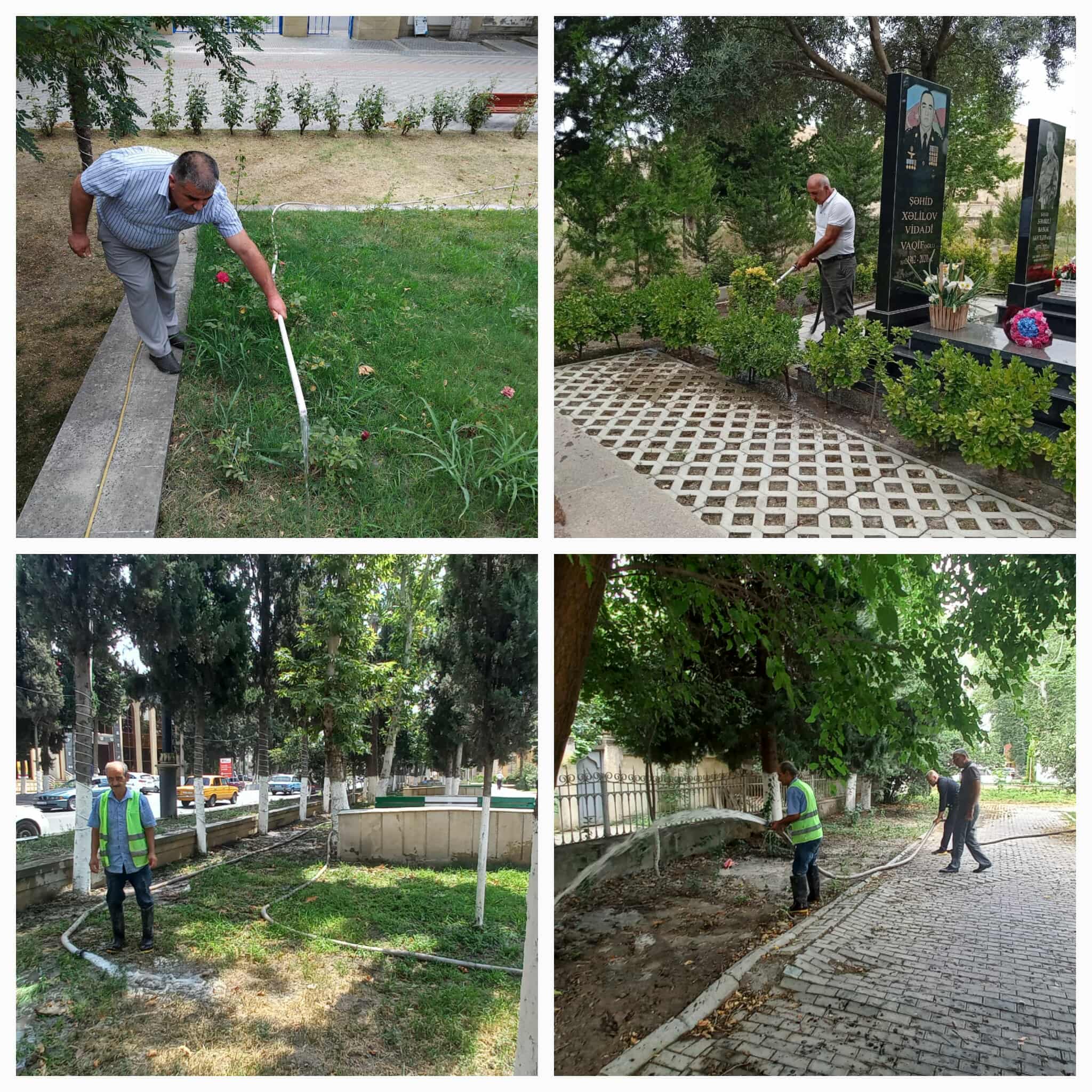 509602011_1916117152574921_2950249319362935220_n