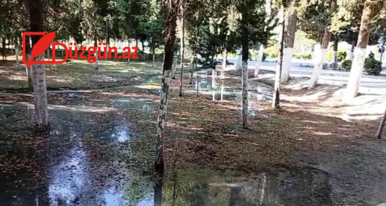 511363364_699173822962173_1983017047924565606_n