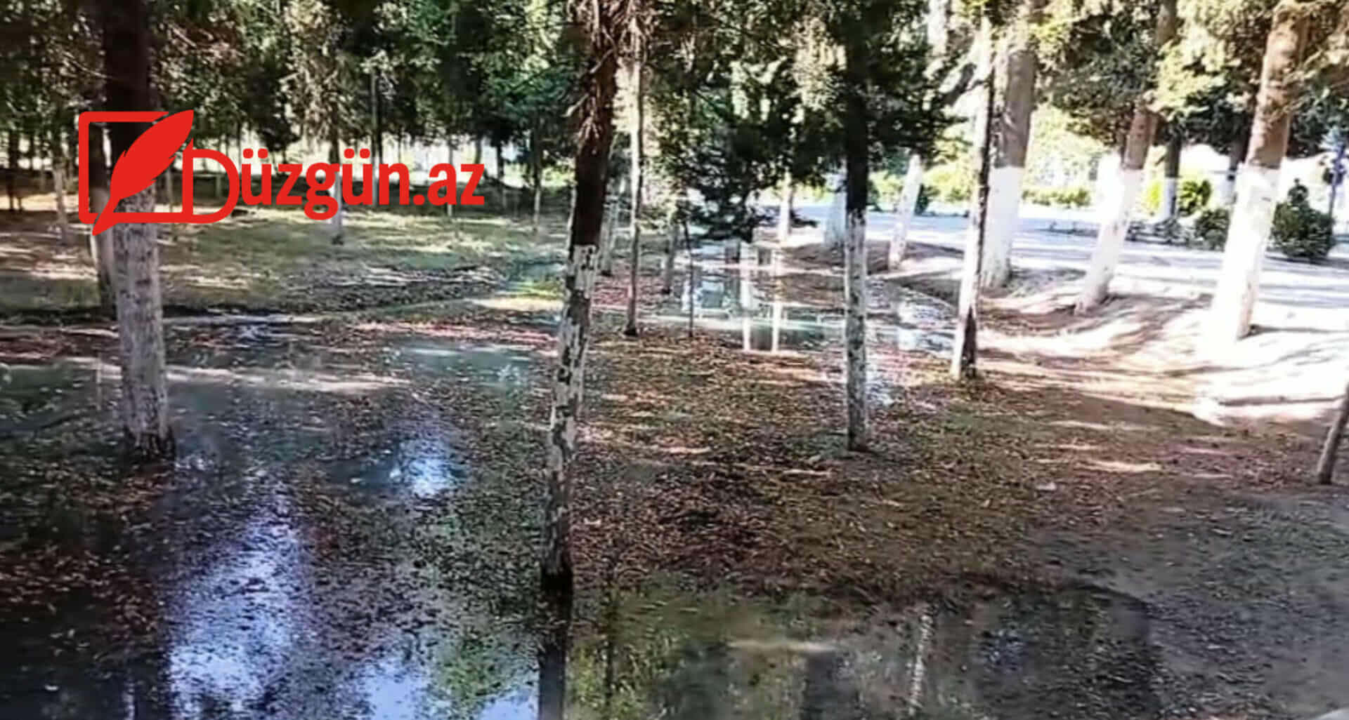 511363364_699173822962173_1983017047924565606_n