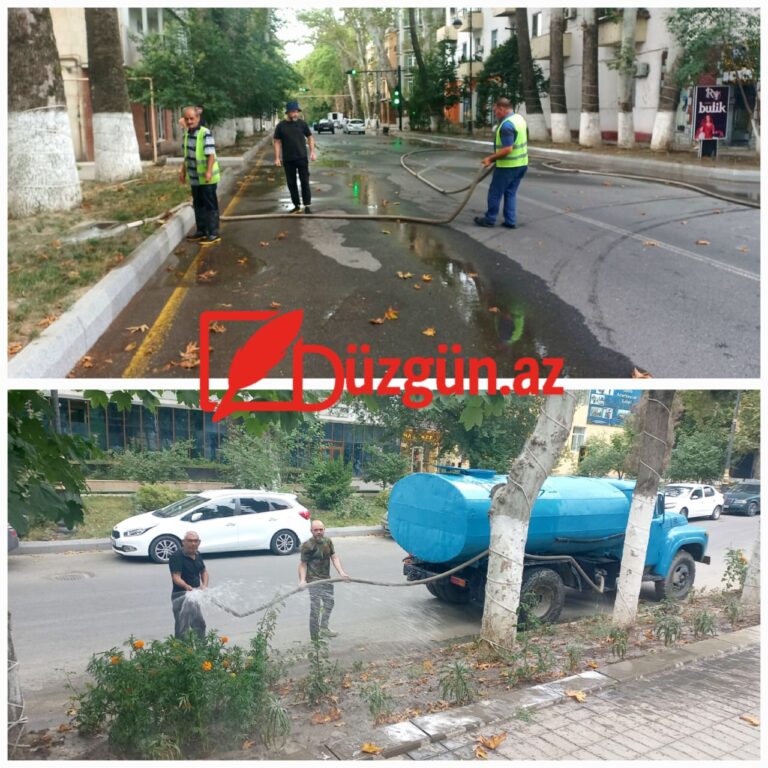 01bb0eb1-feef-48ad-815b-7133bf6b5e4b