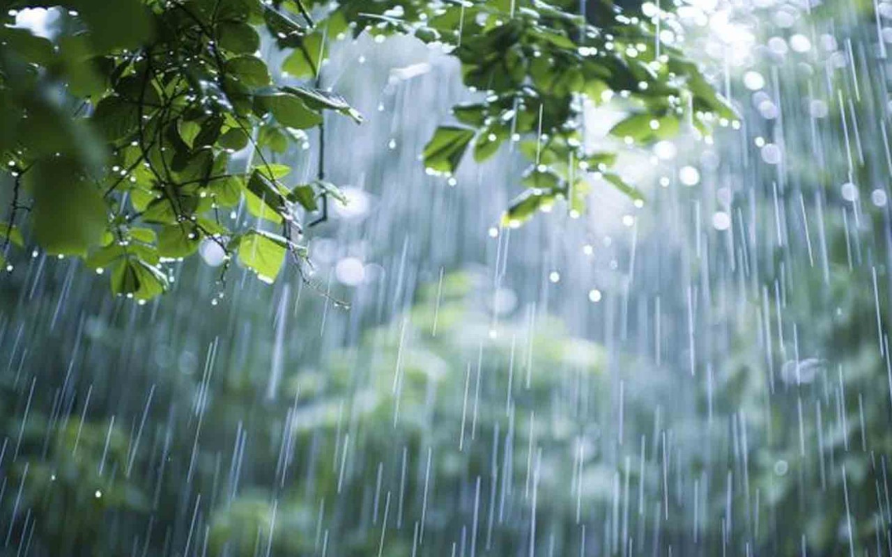 1751373457.ACCIQ-MENBEEE3