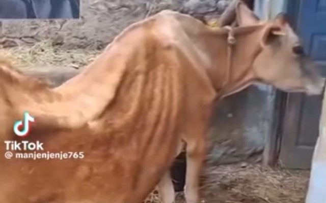 1751897467_515863076_10162942862388518_1864364787211533756_n