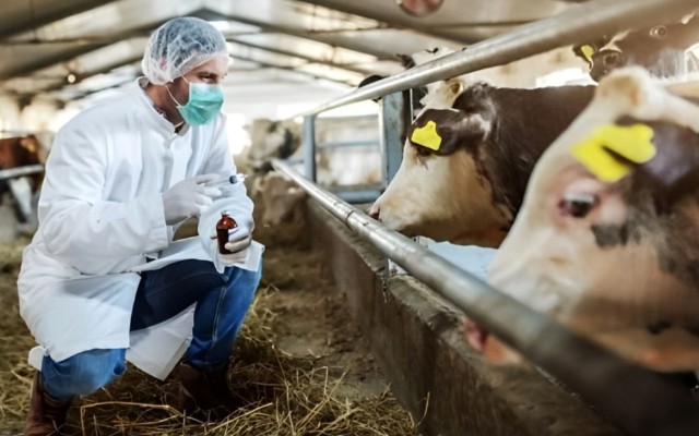 1751899260_1751899044280854858_1200x630