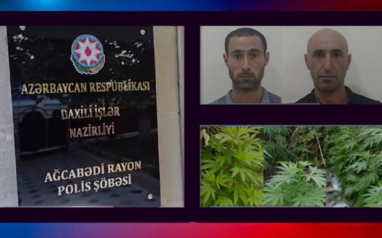 1752737877.7d5d4599-9941-4769-a90e-f24832f9237d