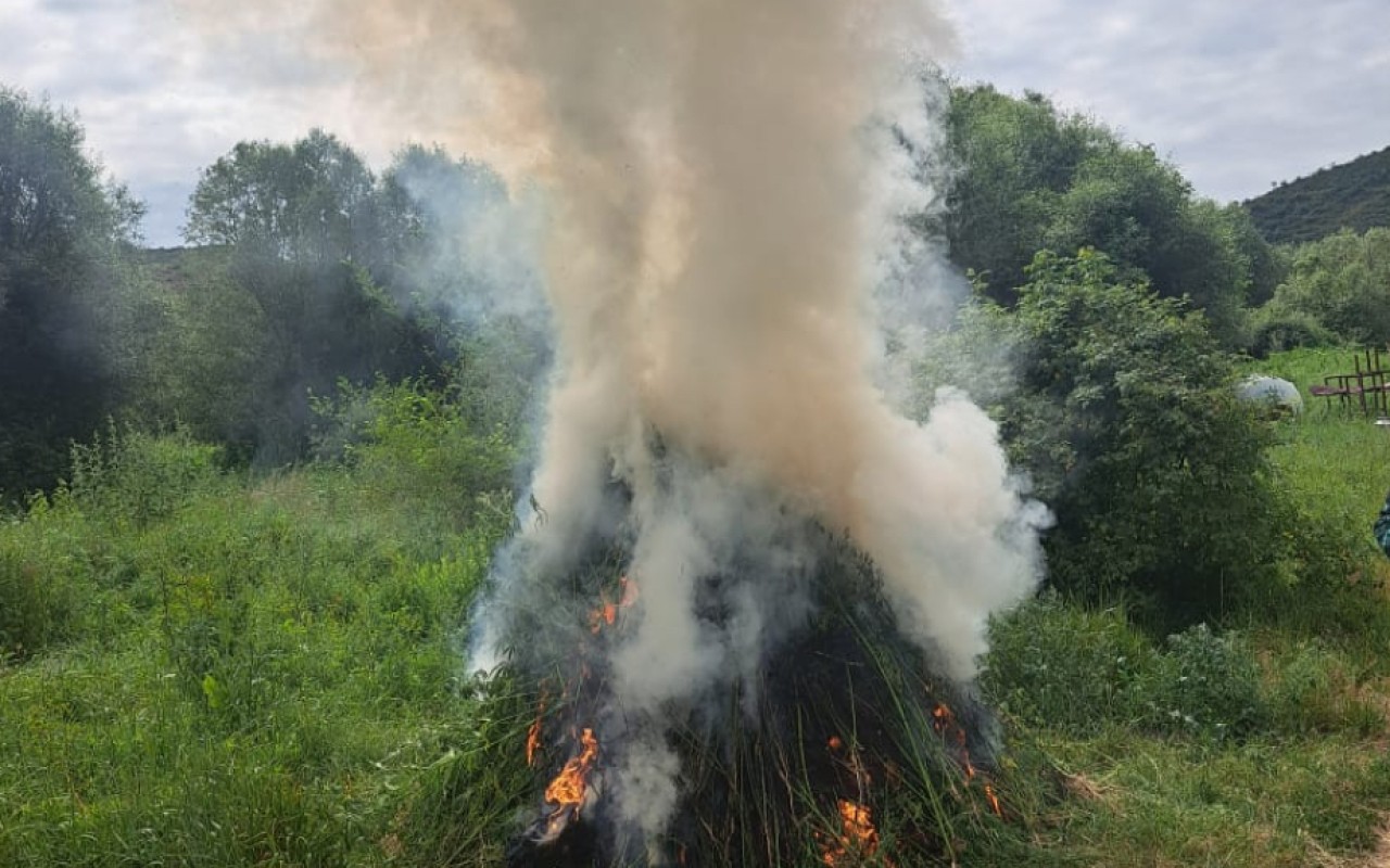 1752926477.17529251444375065127_1200x630