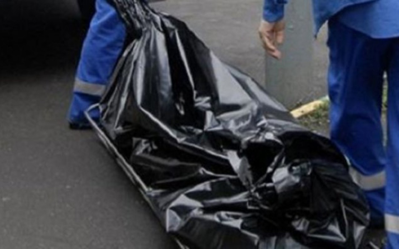 1753508074.1650822983_1638595379_meyit-tapld