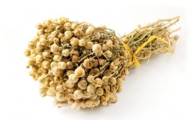 1753860422.35d988790bc9be8138eaecc73339de81_60844_65