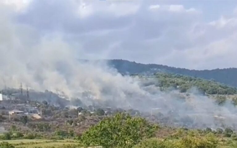 1753952566.8d9d5cd7-7ecc-3435-af1b-5562b253e9d4_850