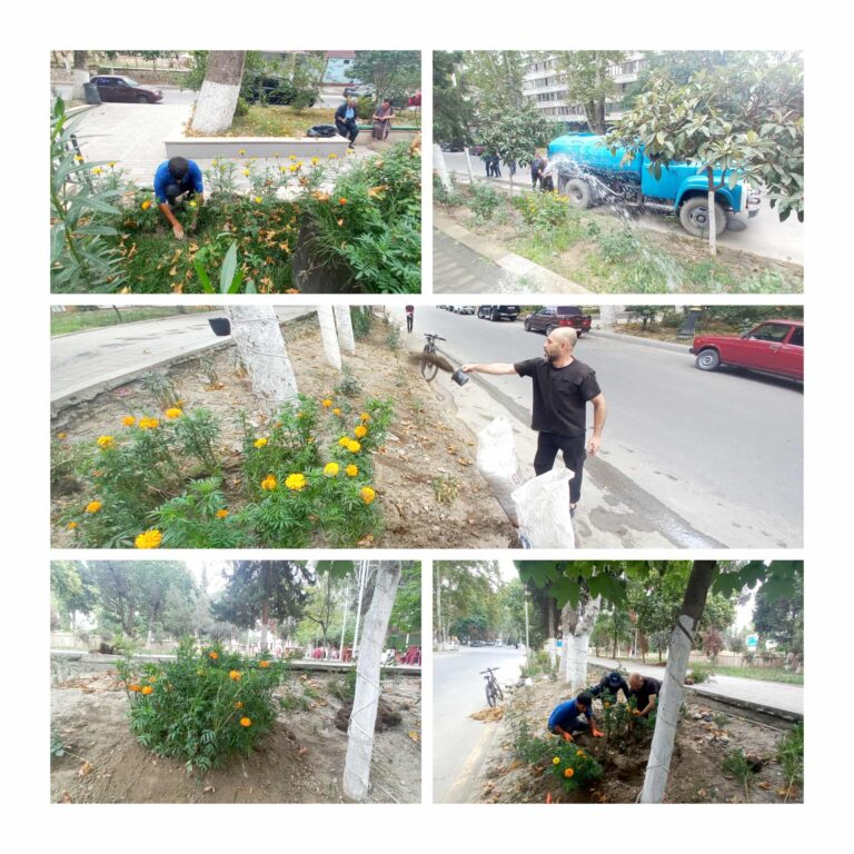 502339158_1041119678134855_8577572153925404935_n