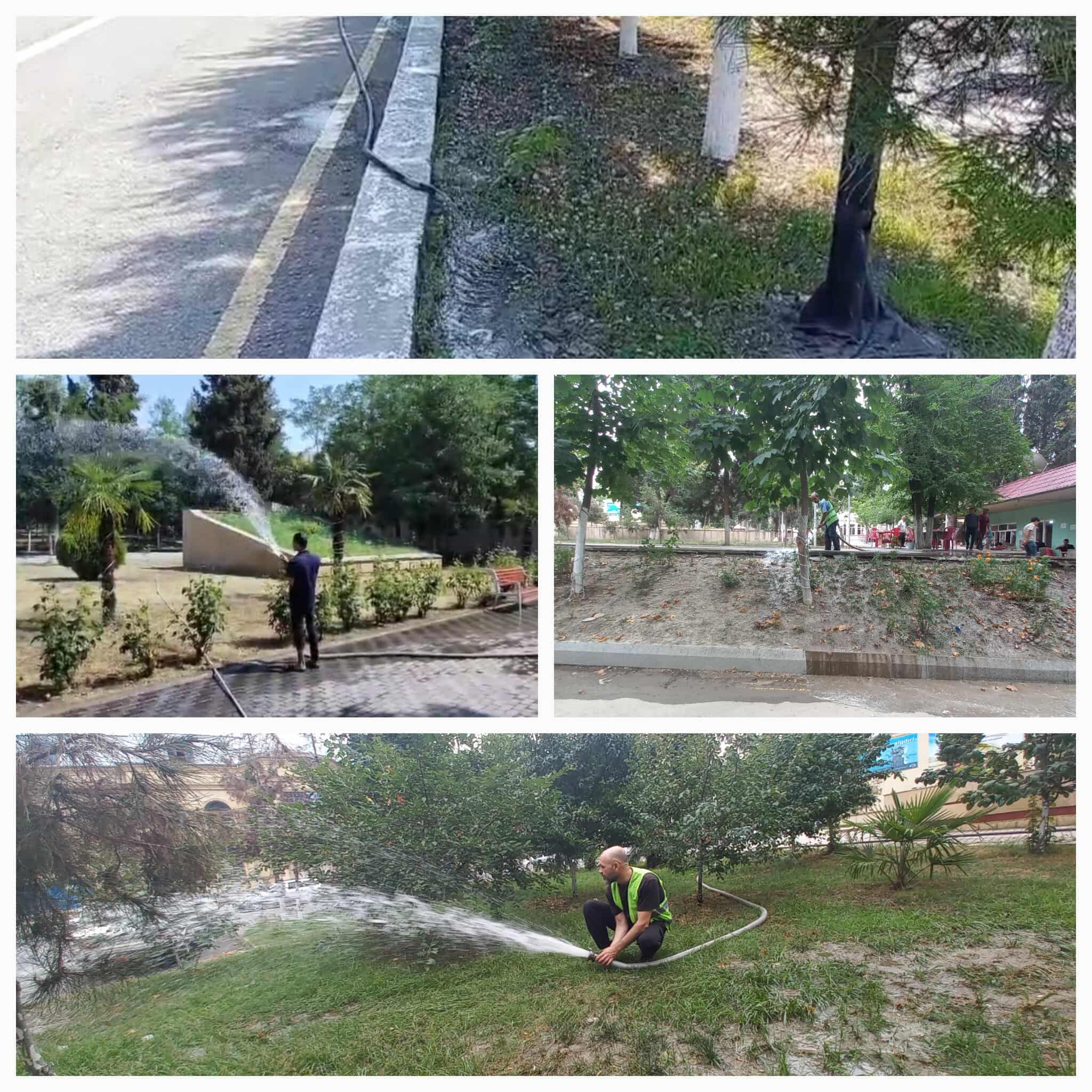 511010807_1455313198973641_319621327557353058_n