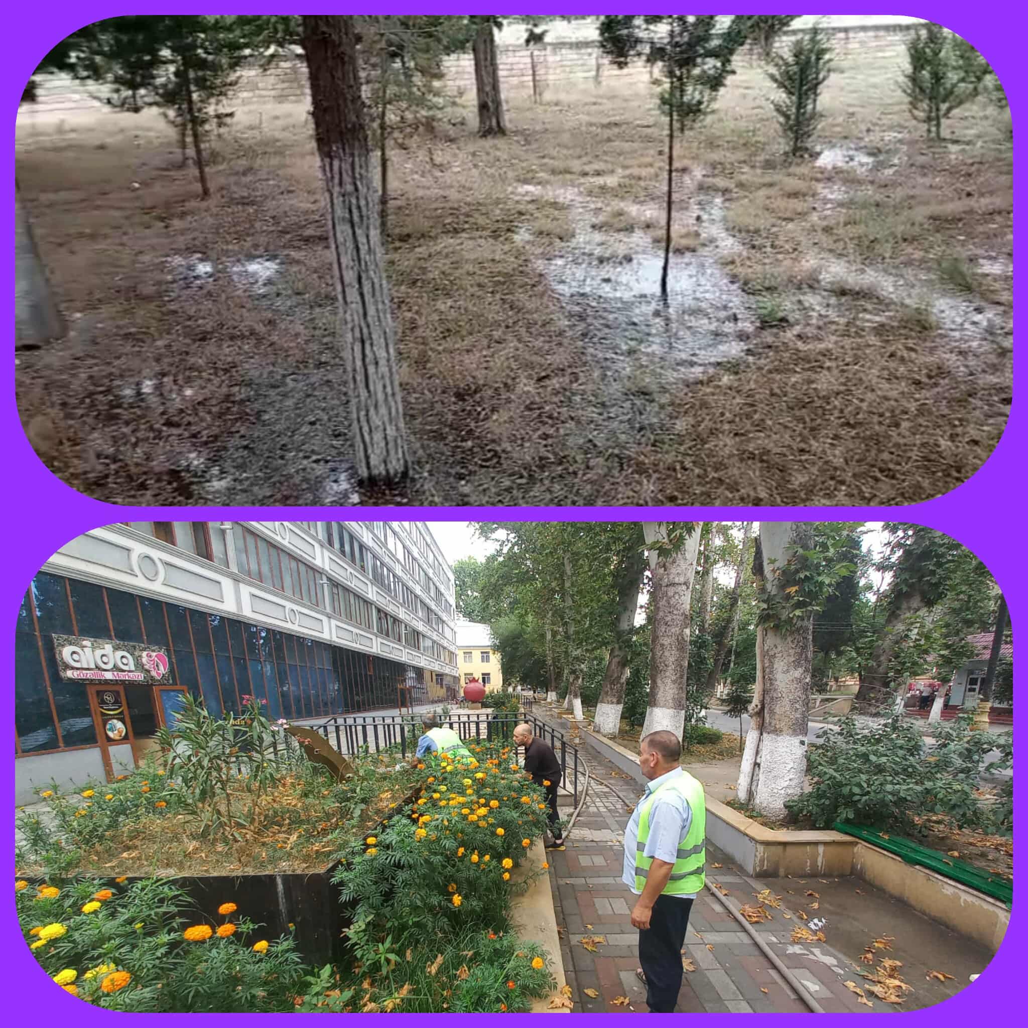 514090348_634449356428488_6953193023317502386_n