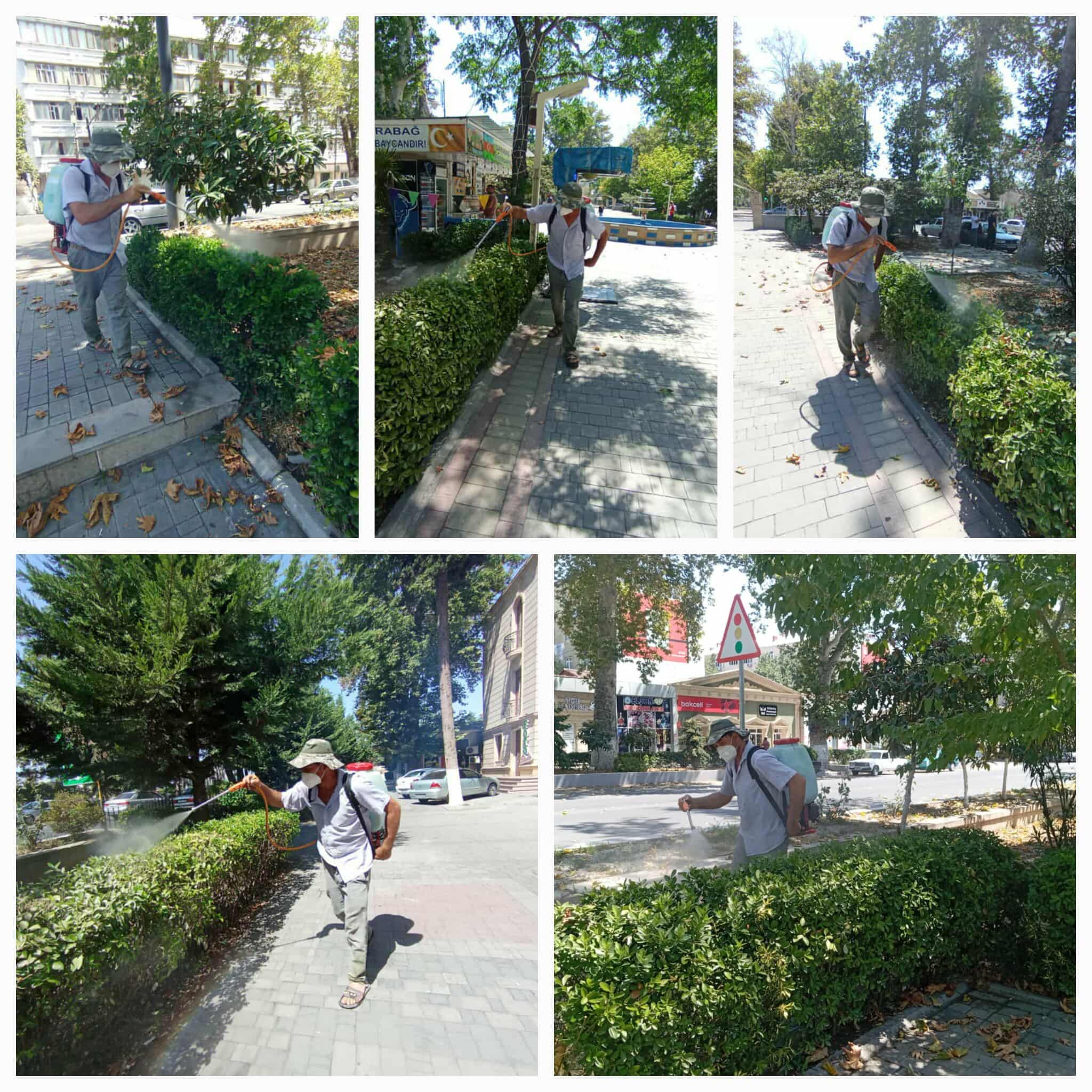 518720791_721397804216228_393576834380520429_n