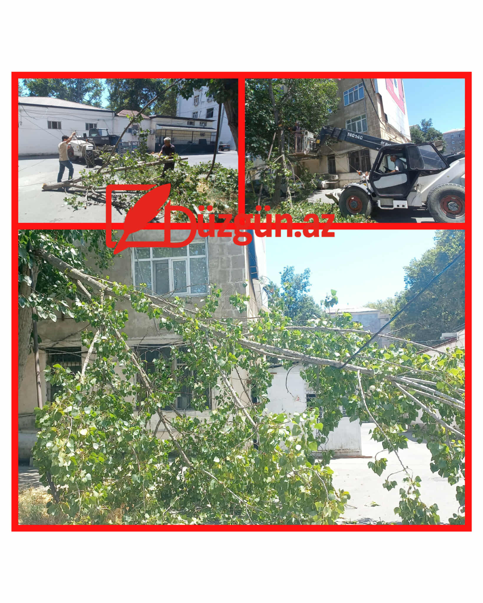 520213901_731464129587857_3895111123015690169_n