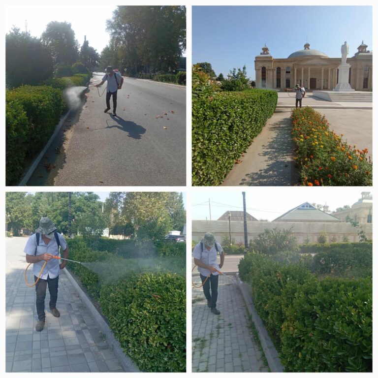 520220193_617256300998329_9049519310849352708_n