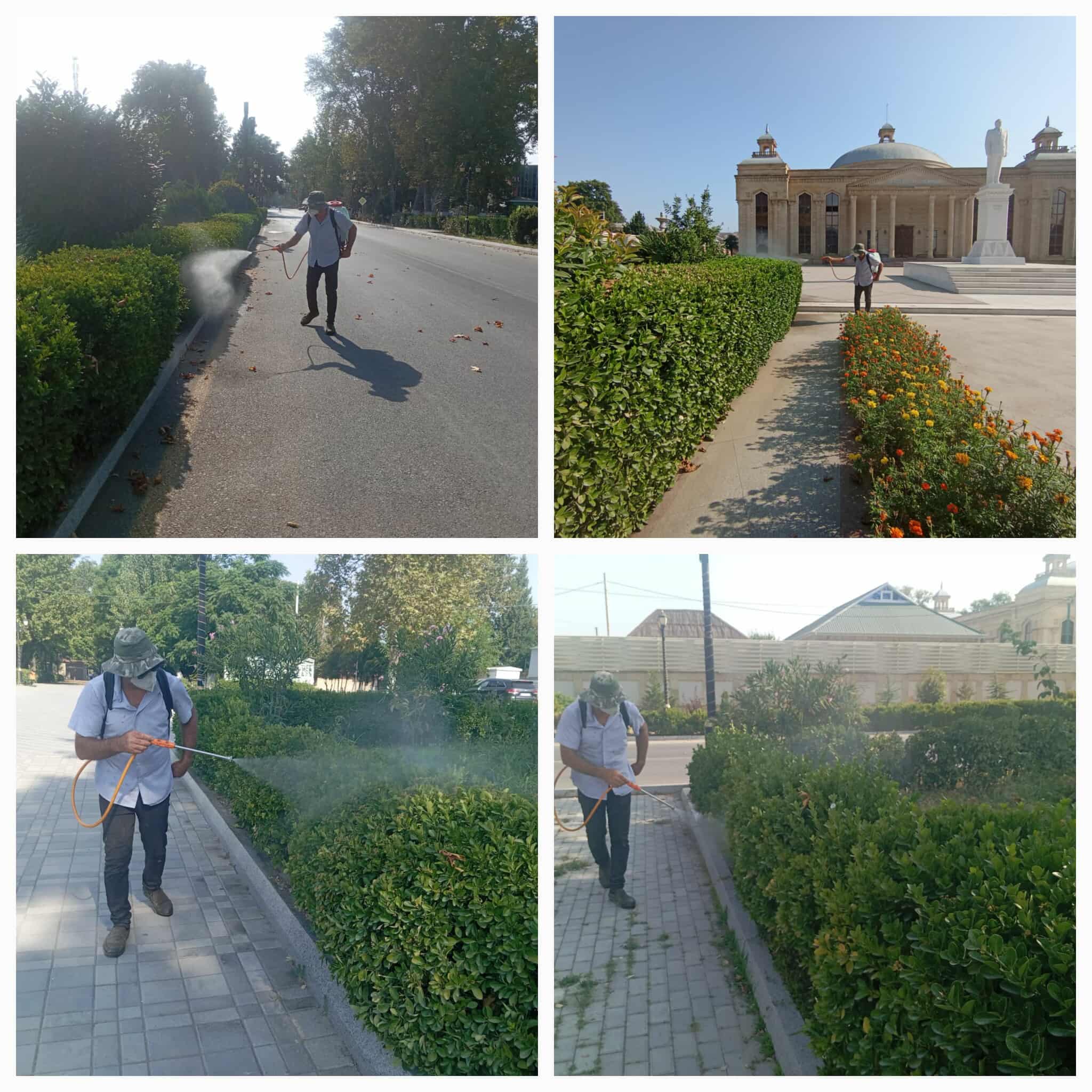 520220193_617256300998329_9049519310849352708_n