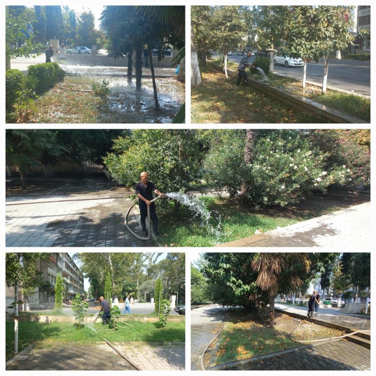 523347063_1444634313328224_5437142533145522300_n