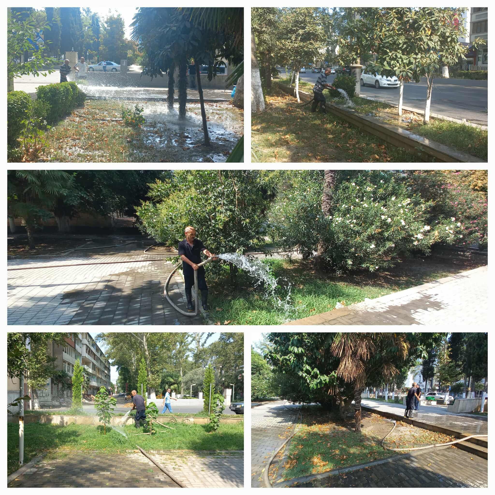 523347063_1444634313328224_5437142533145522300_n