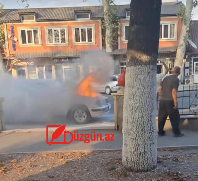 523489592_739991881912132_7164252226781993147_n (1)