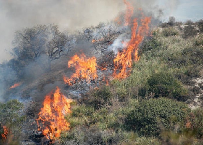 1649082162.1566823280_mese