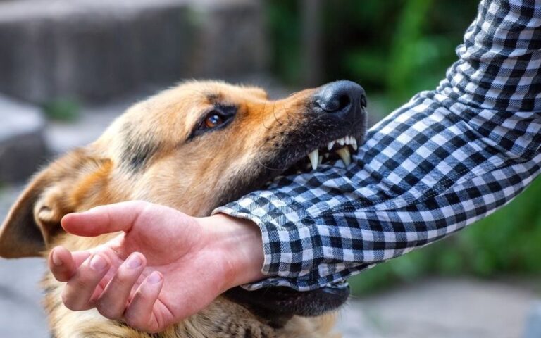 1754756524.2021-07-29-17-14-10iDlHIu1N6V6KlO3fdAaC_file