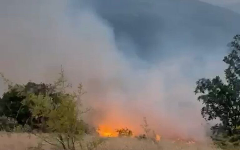 1754887543.68997246cf94c68997246cf94d175488672668997246cf94a68997246cf94b (1)