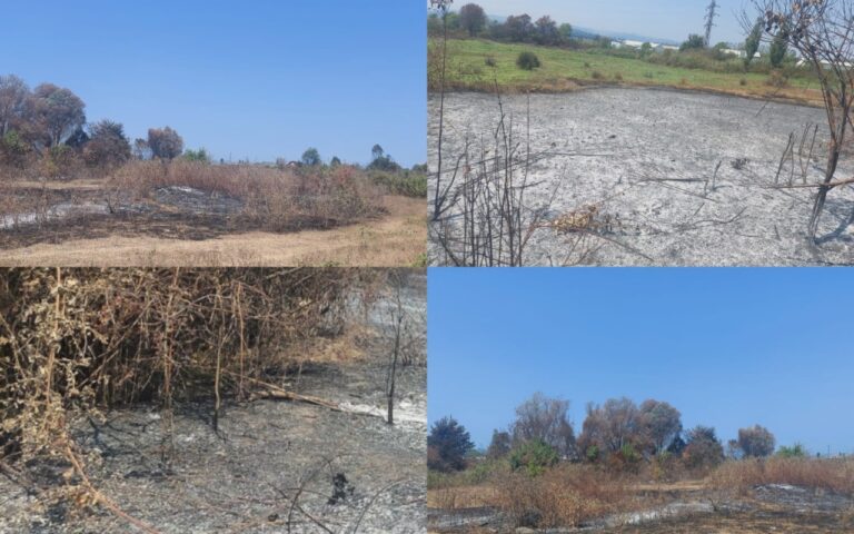 1754897114.38f94747-9a8a-4453-b392-d9a9c7bdd896