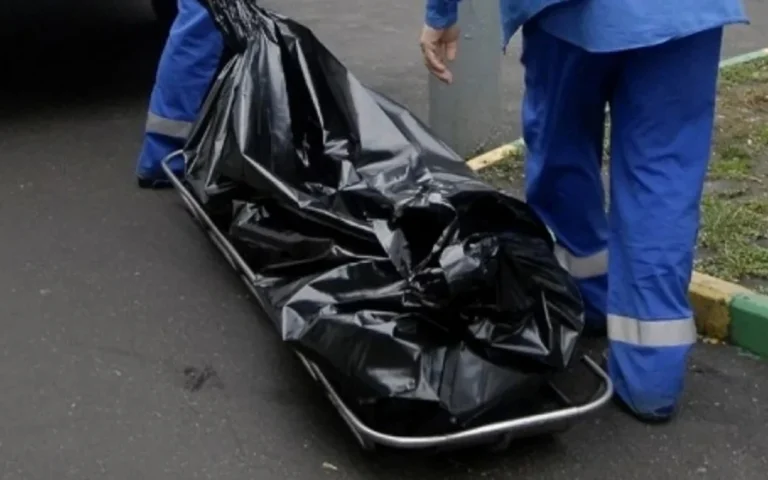 1754903840.9Ng0Y6qDQr8_1200