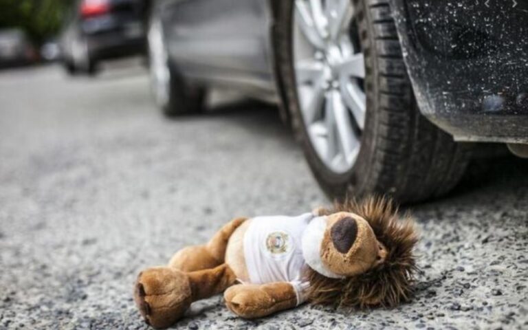 1755163545.1660288098_fotojet-16