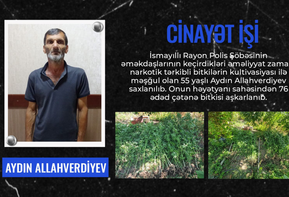 17552508236322617675_1200x630