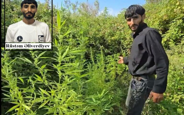 1755251475.689f021071df6689f021071df71755251216689f021071df4689f021071df5