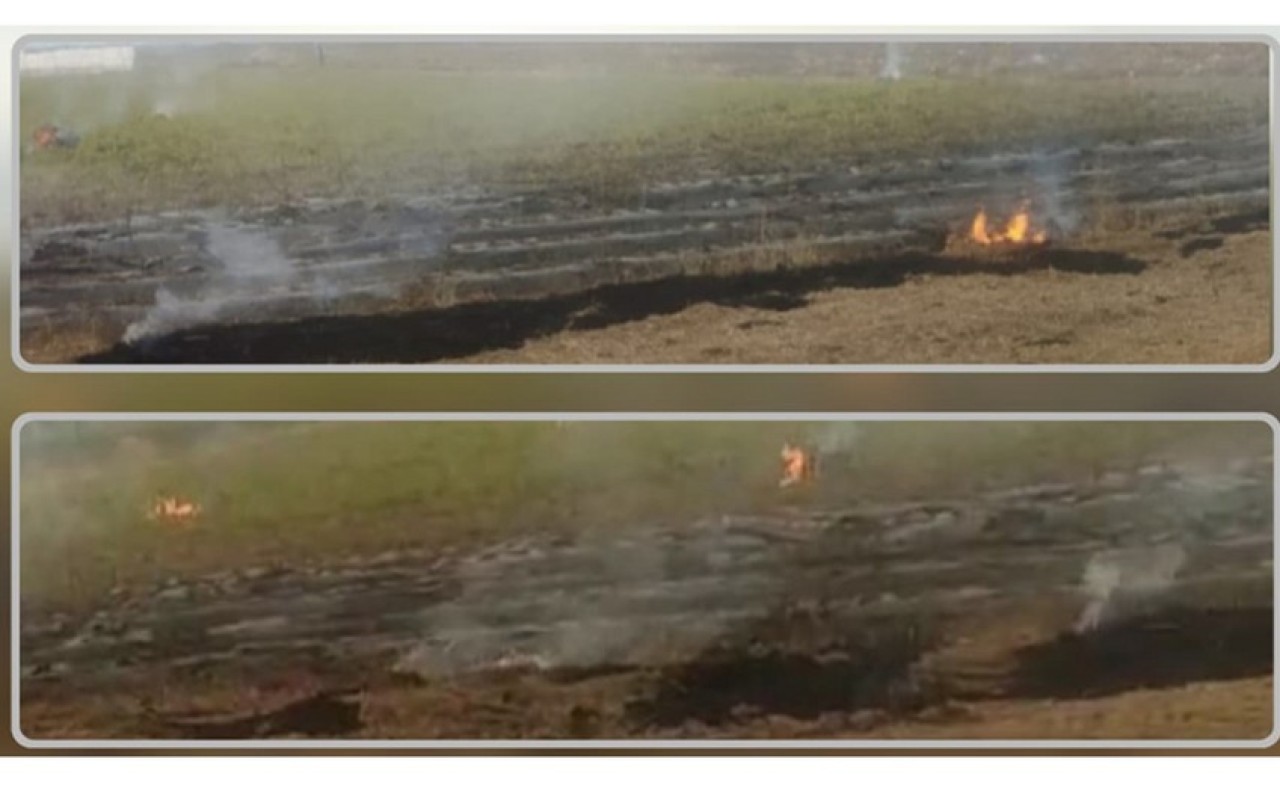 1755276443.fd3aa0be-e965-3692-b36c-e59e6f1668fd_850