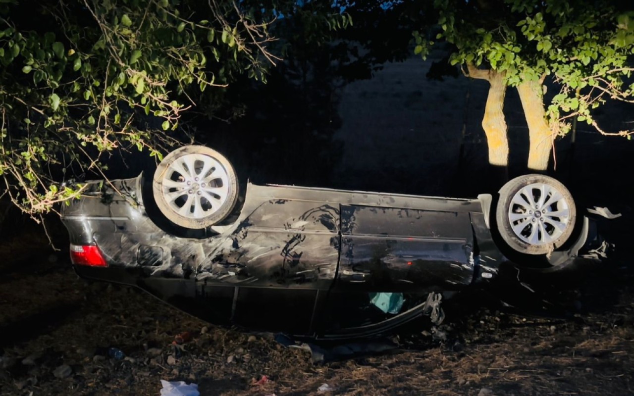 1755457022.17554538235901530282_1200x630