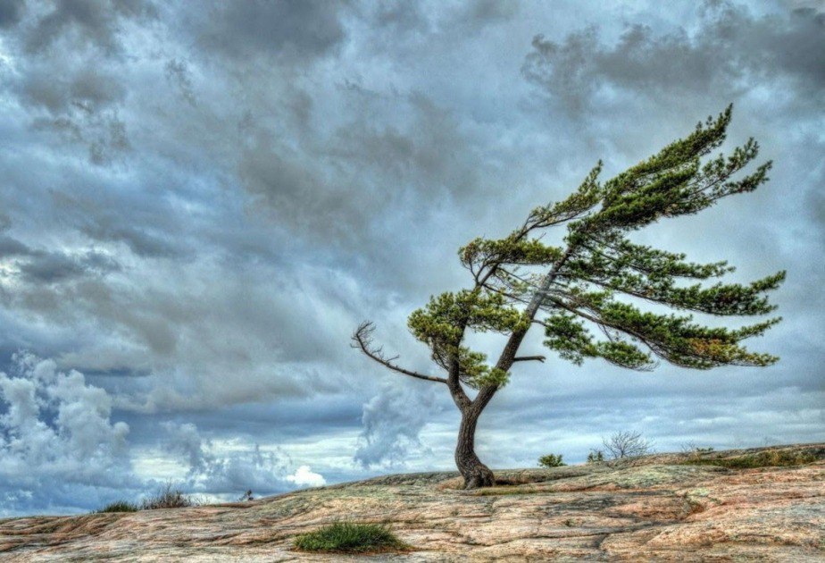 1755594502_5269470748576184852