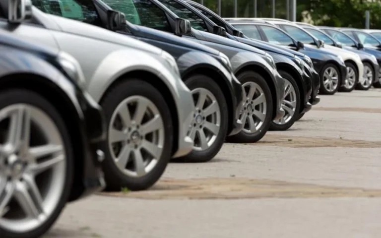 1755605836.xDcM6UQhdsQRQbv1UUpR8tAIzRj29KcPLkFbMxj8 (1)