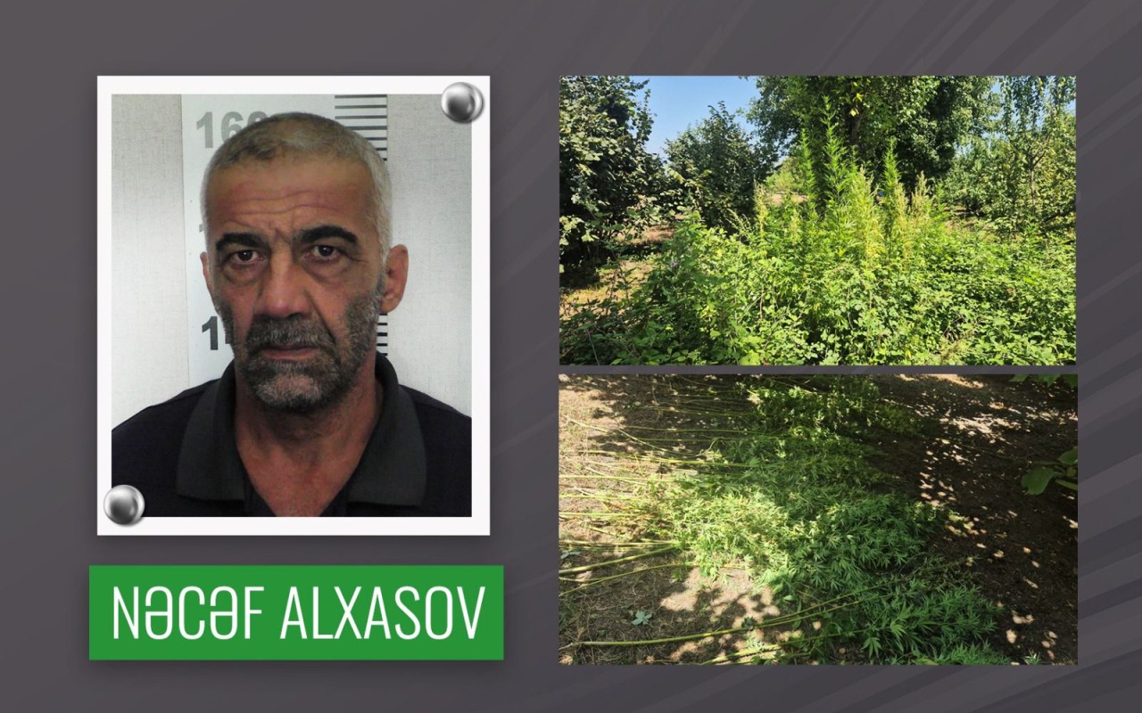 1756099445.WhatsApp Image 2025-08-25 at 09.22.47