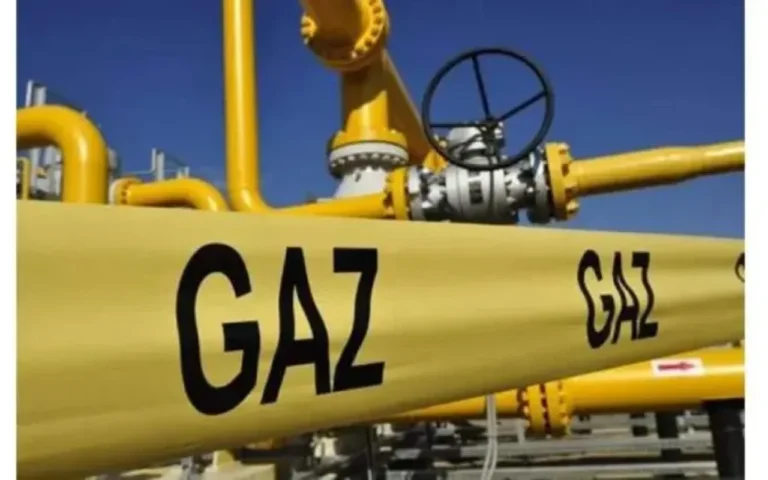 1756276720.1754114207_qaz