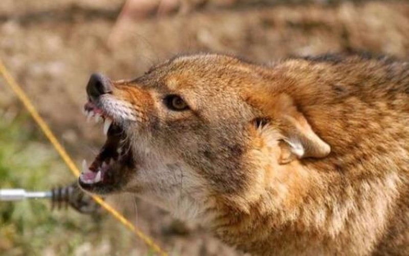 2C876DD4-0C64-47BB-8500-0EAE8B19E0A7jpeg-1754805731