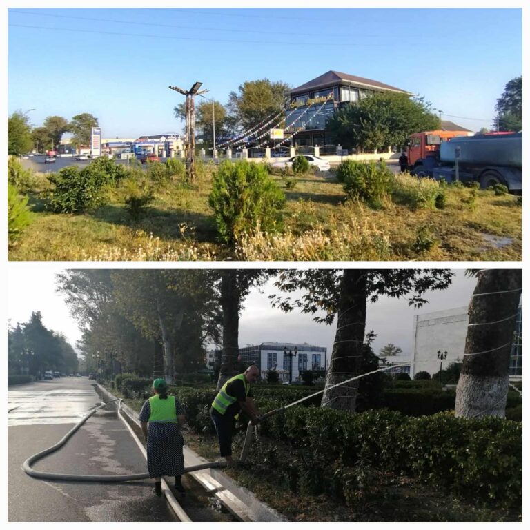 532937862_4247734635461912_4436147014589997943_n