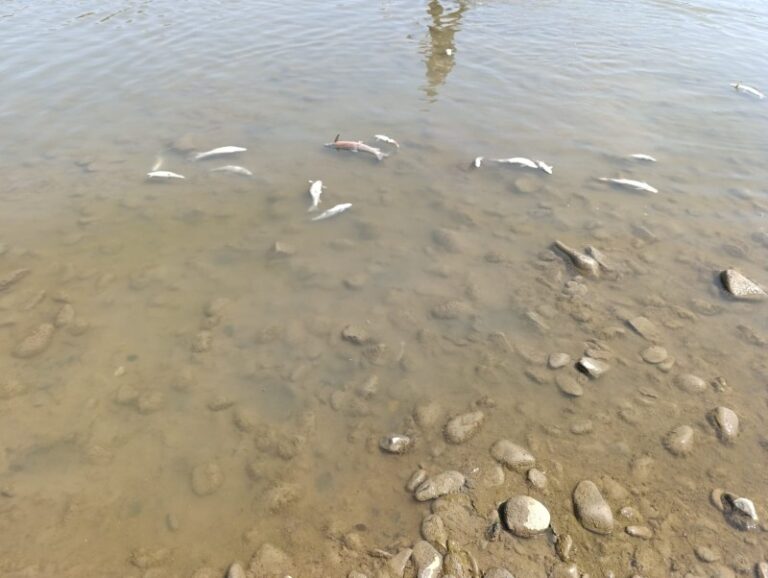 IMG-20250823-WA0015jpg-1755939106