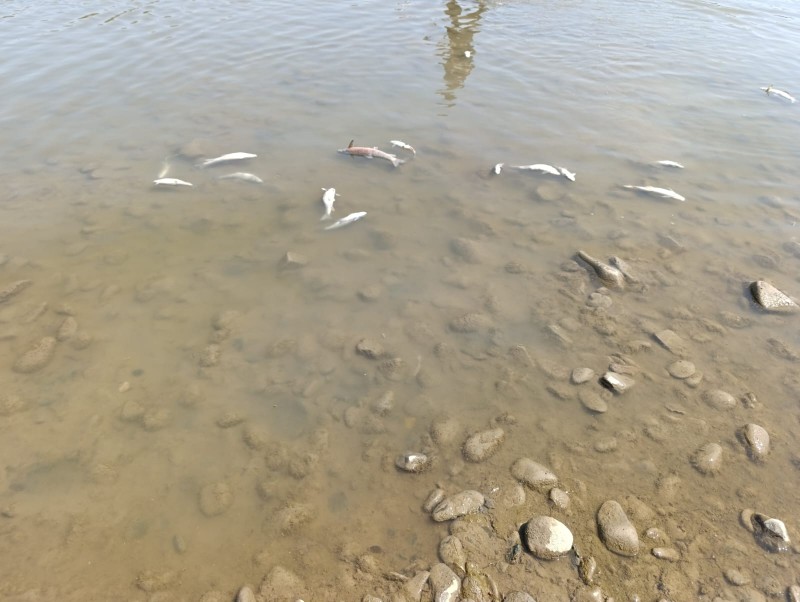 IMG-20250823-WA0015jpg-1755939106