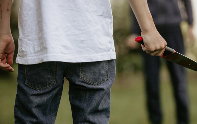 bicaq (2)jpg-1755691718