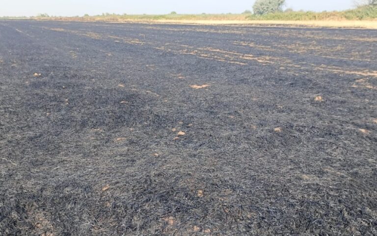 1756728133.WhatsApp Image 2025-09-01 at 15.59.21