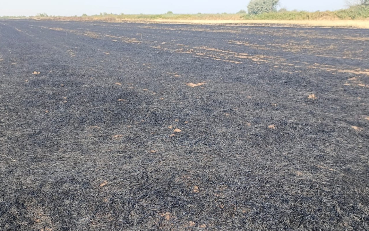 1756728133.WhatsApp Image 2025-09-01 at 15.59.21